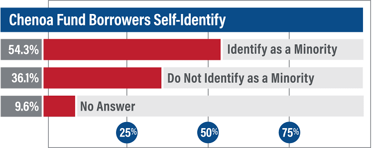 Survey Borrowers Self Identify 2